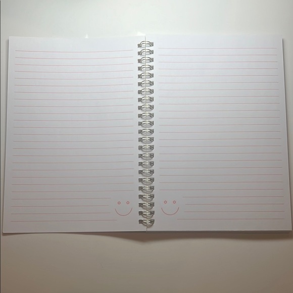 Set of 2 Pastel Pink and Blue Spiral Notebooks - Picture 8 of 13